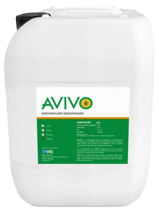 AVIVO