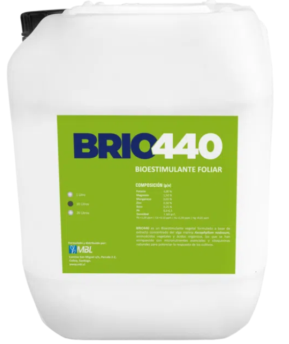 BRIO 440