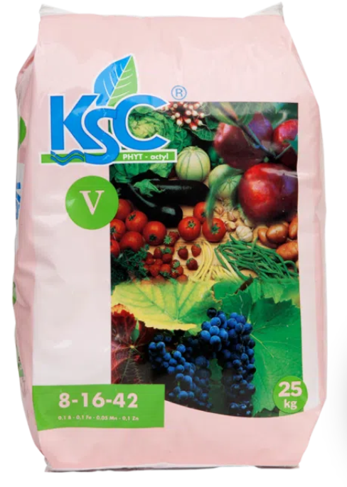 KSC Rosado